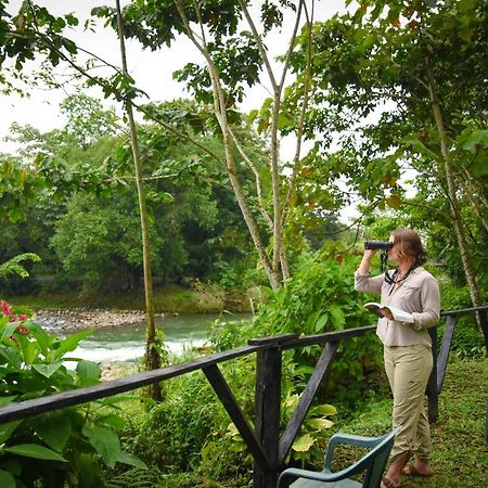 Вілла Chilamate Rainforest Eco Retreat Puerto Viejo de Sarapiqui Екстер'єр фото