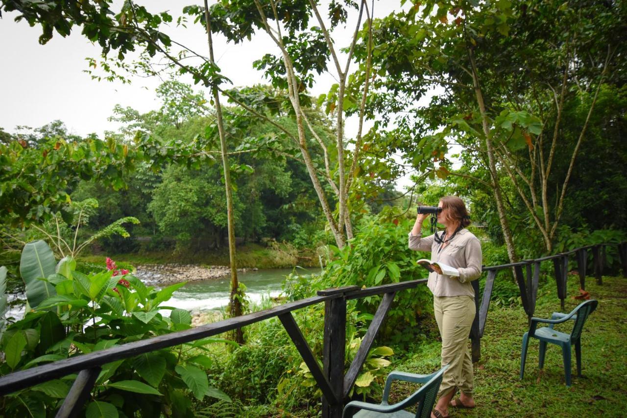 Вілла Chilamate Rainforest Eco Retreat Puerto Viejo de Sarapiqui Екстер'єр фото